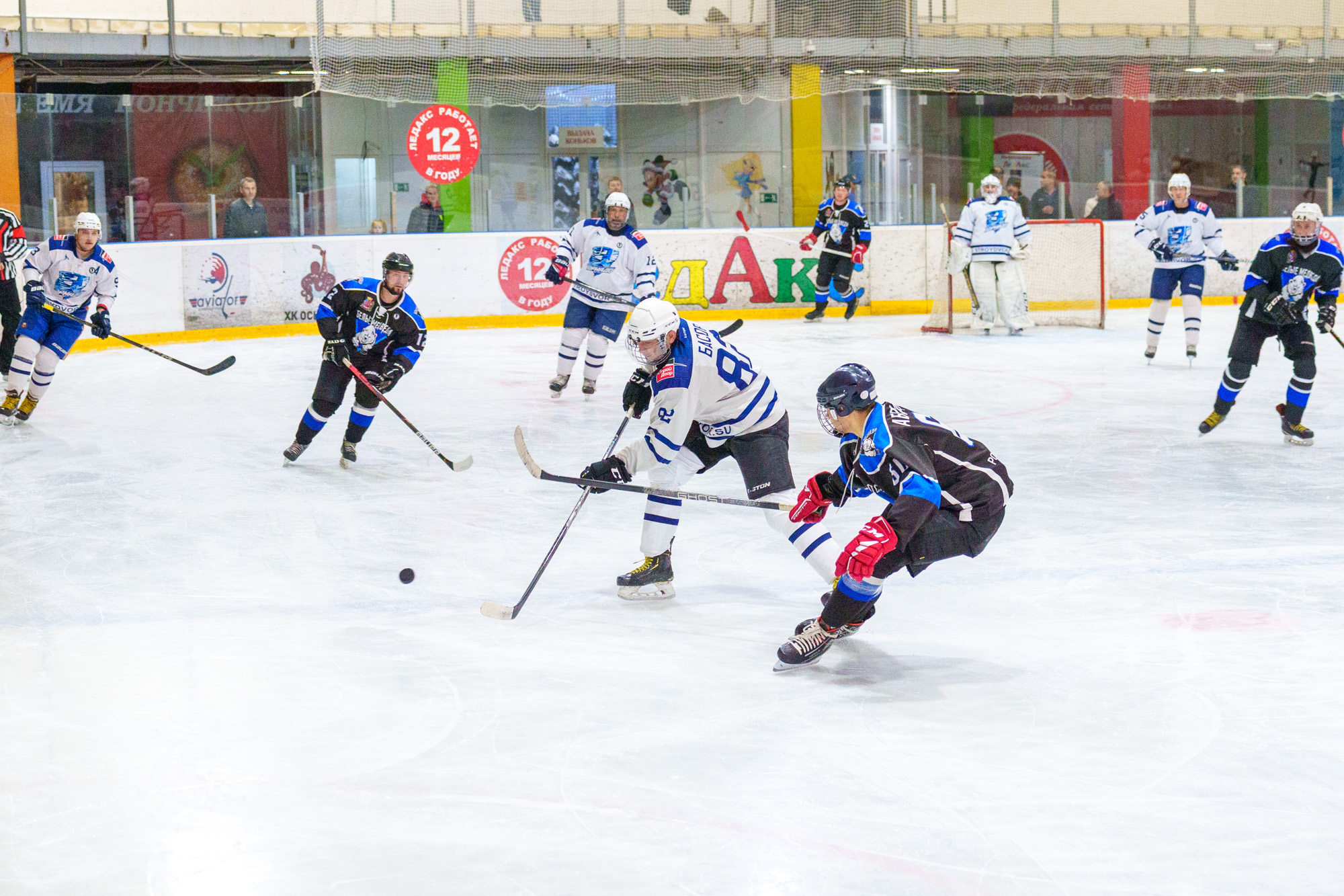 НХЛ, лига надежды Белые медведи - Торнадо 2 - 5