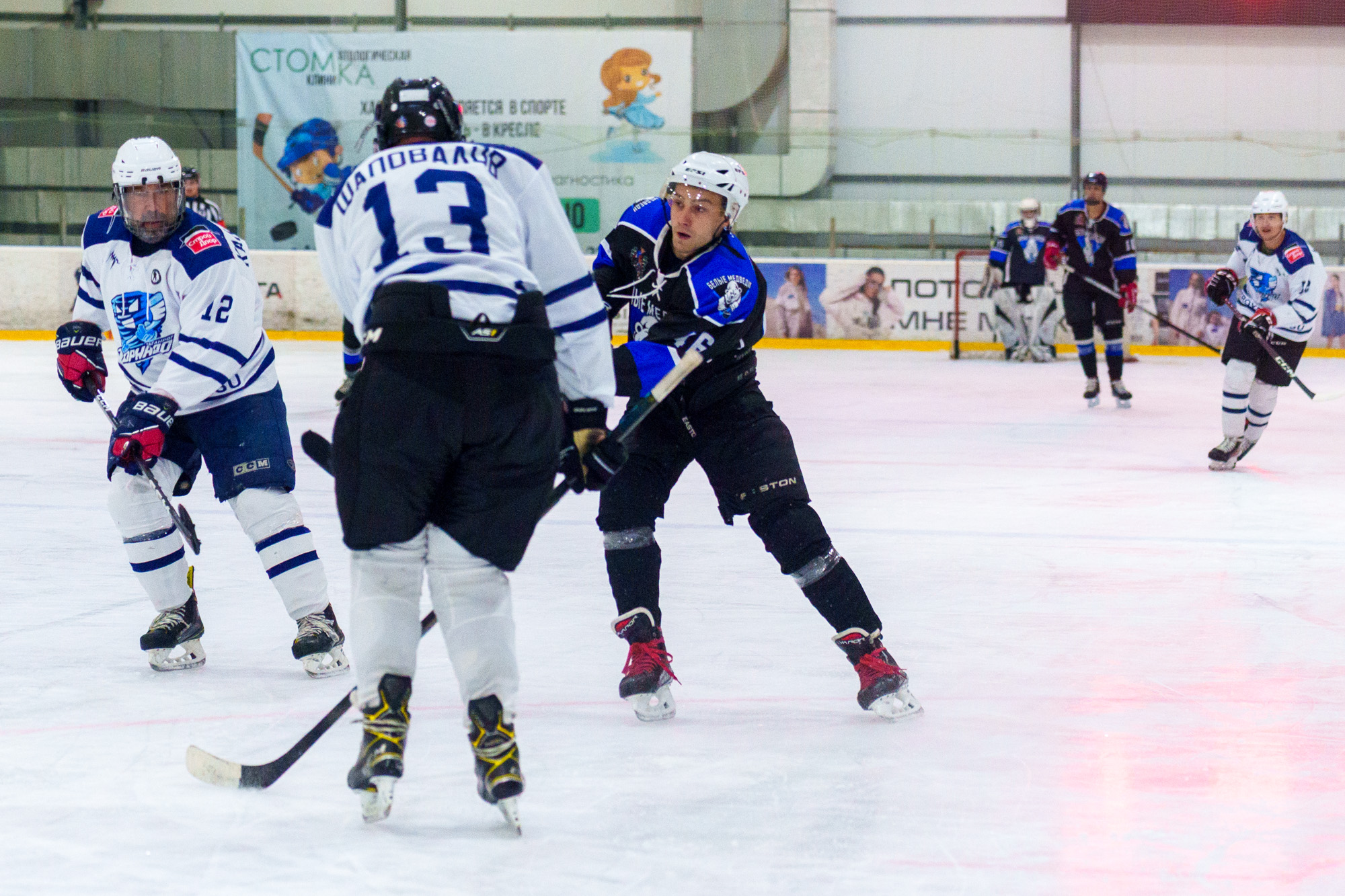 НХЛ, лига надежды Белые медведи - Торнадо 2 - 5