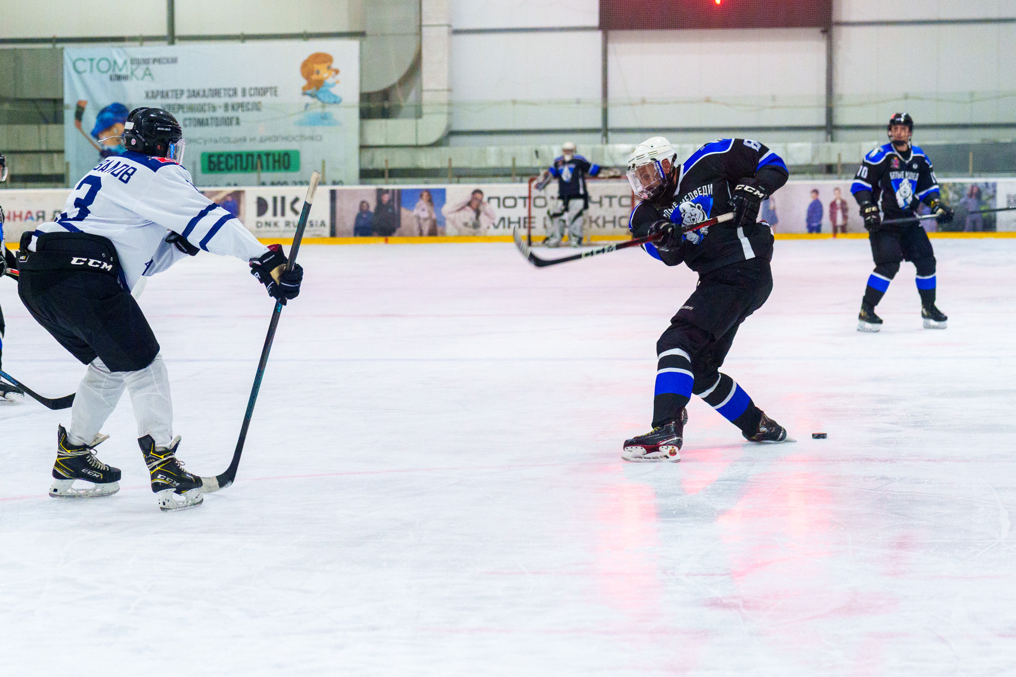 НХЛ, лига надежды Белые медведи - Торнадо 2 - 5