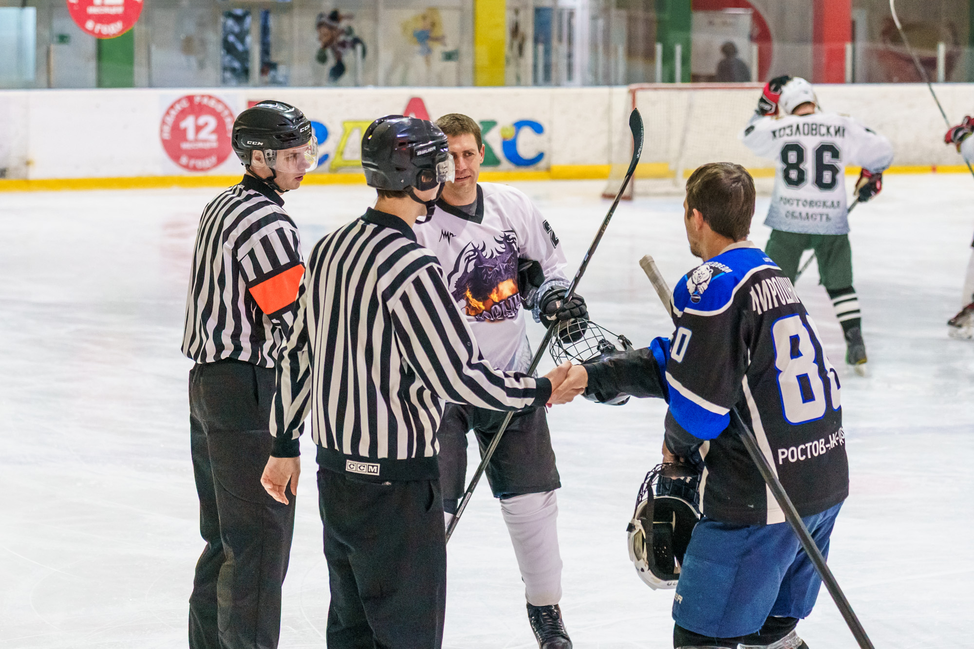 НХЛ, лига надежды Белые медведи  - Горыныч 7-1