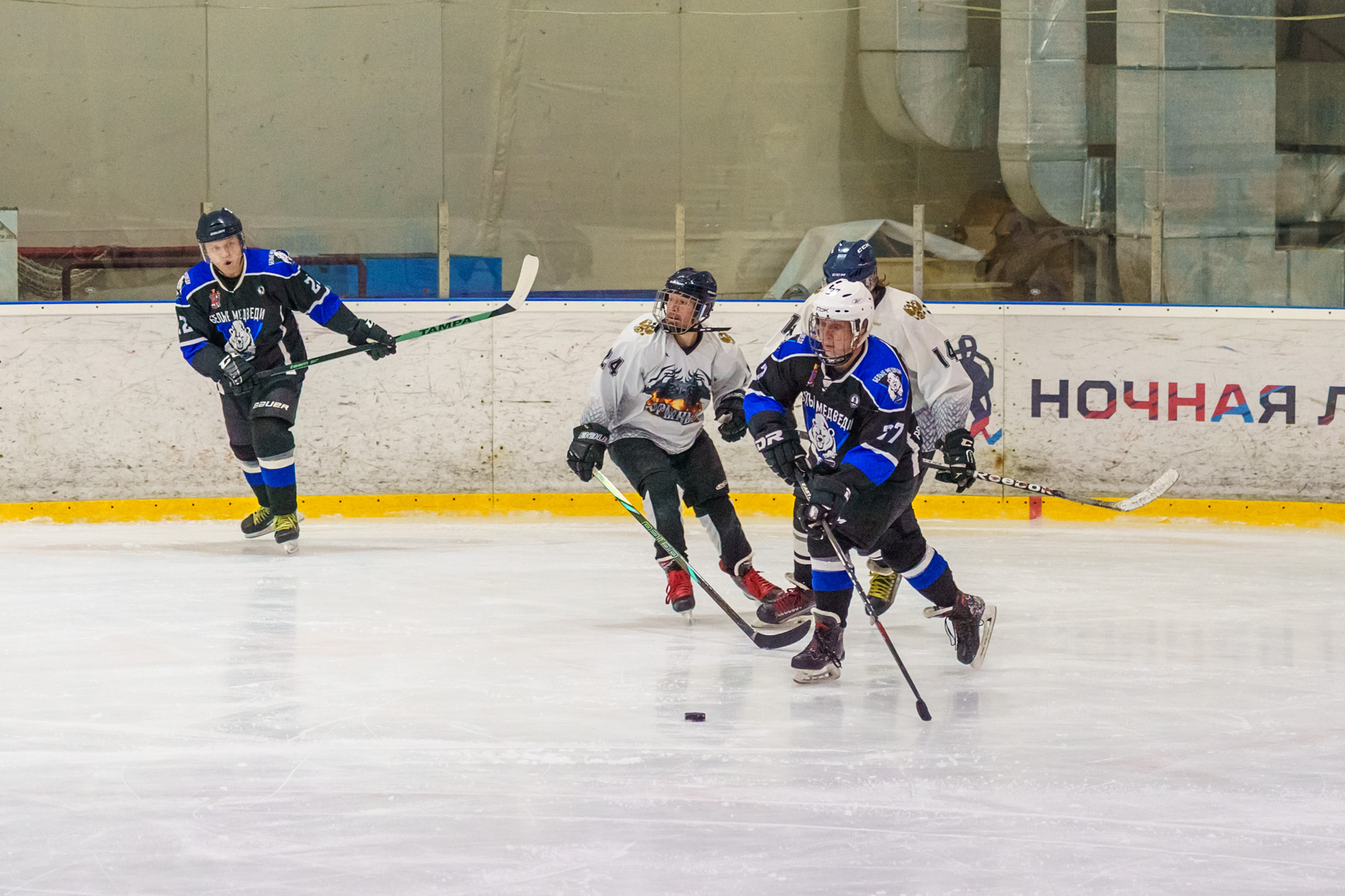 НХЛ, лига надежды Белые медведи  - Горыныч 7-1