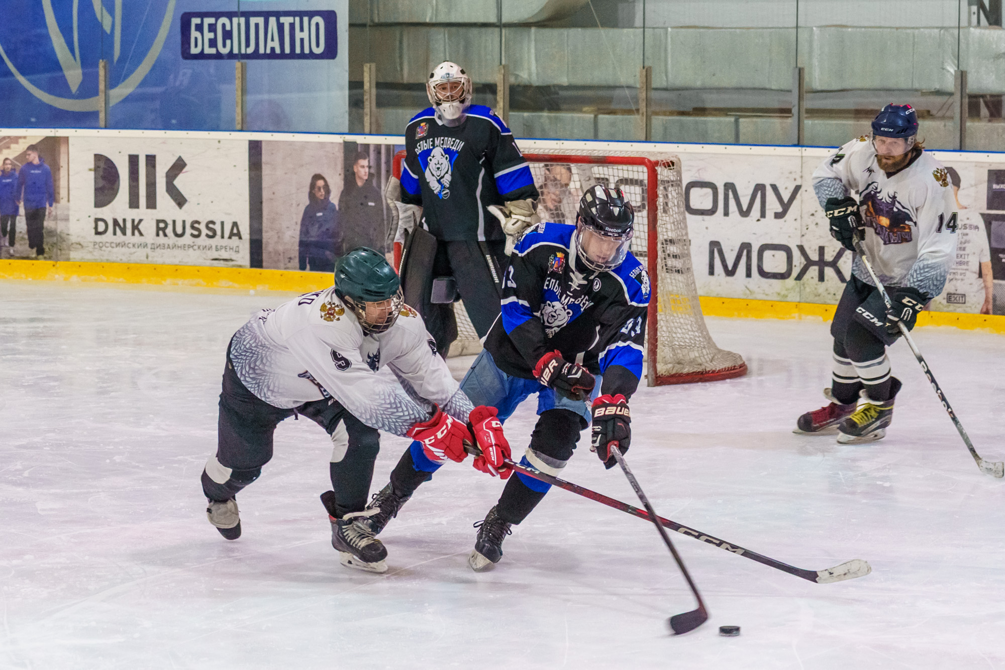 НХЛ, лига надежды Белые медведи  - Горыныч 7-1