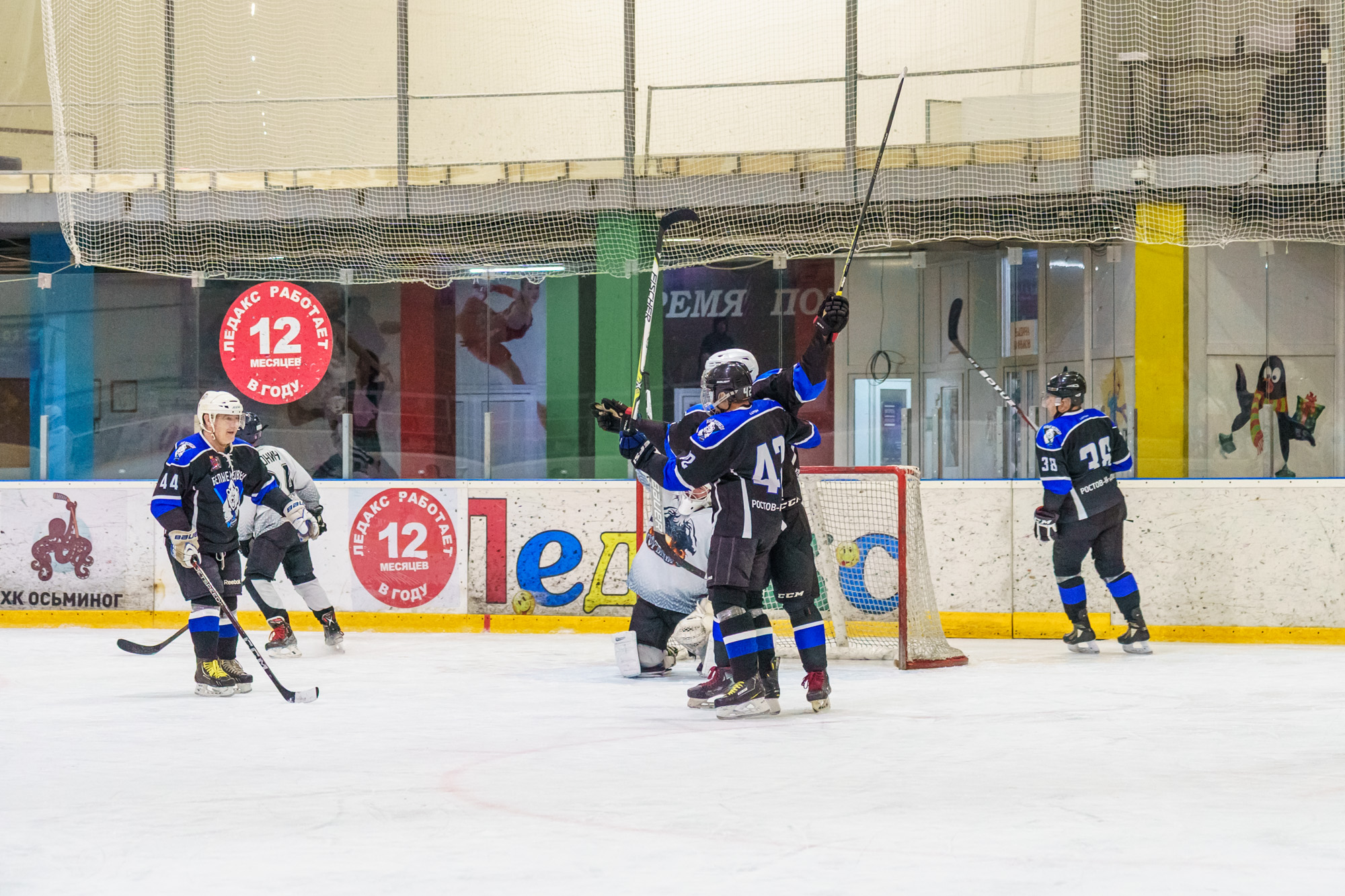 НХЛ, лига надежды Белые медведи  - Горыныч 7-1