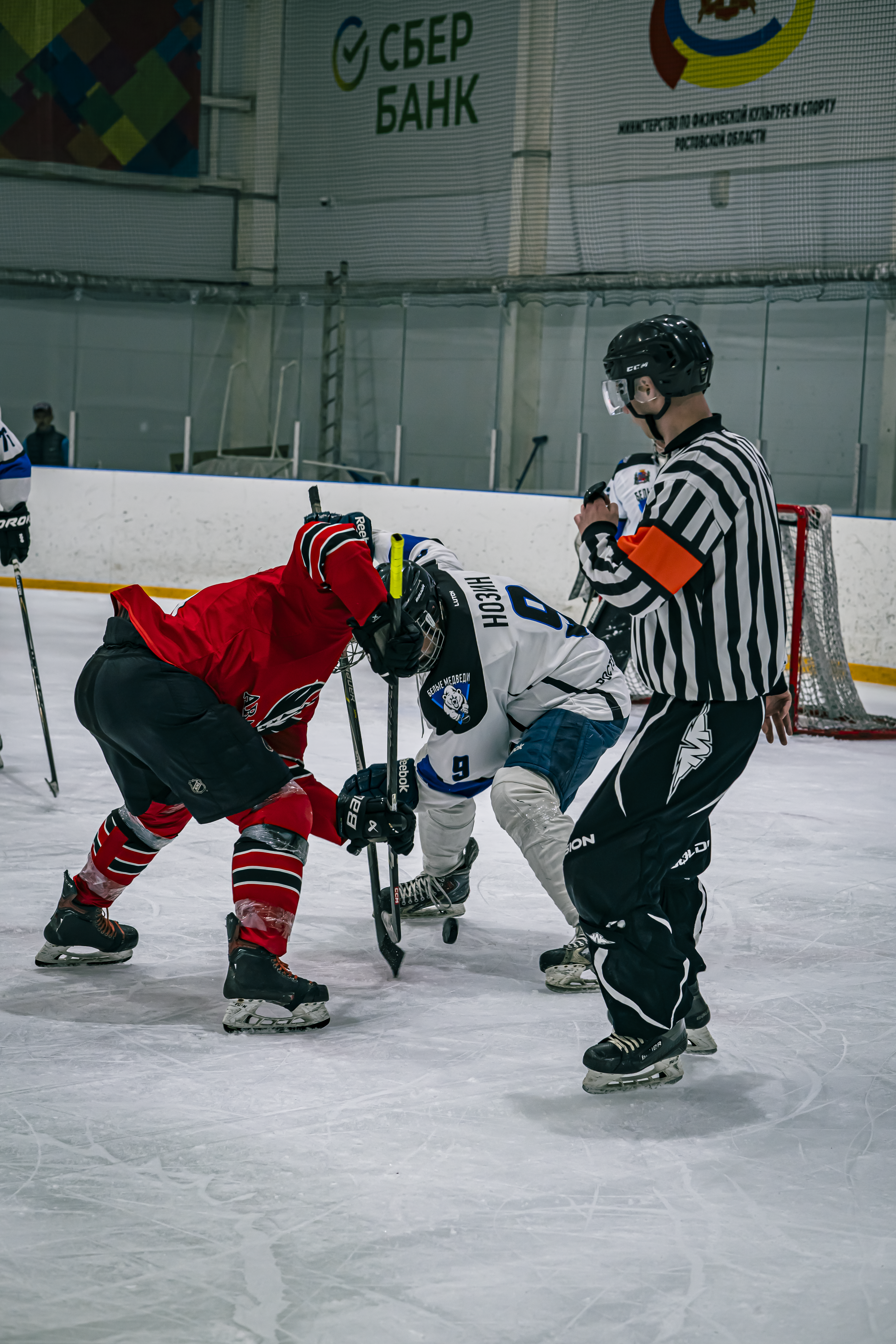 НХЛ, дивизион 40 + Белые медведи - Авангард 1 - 7