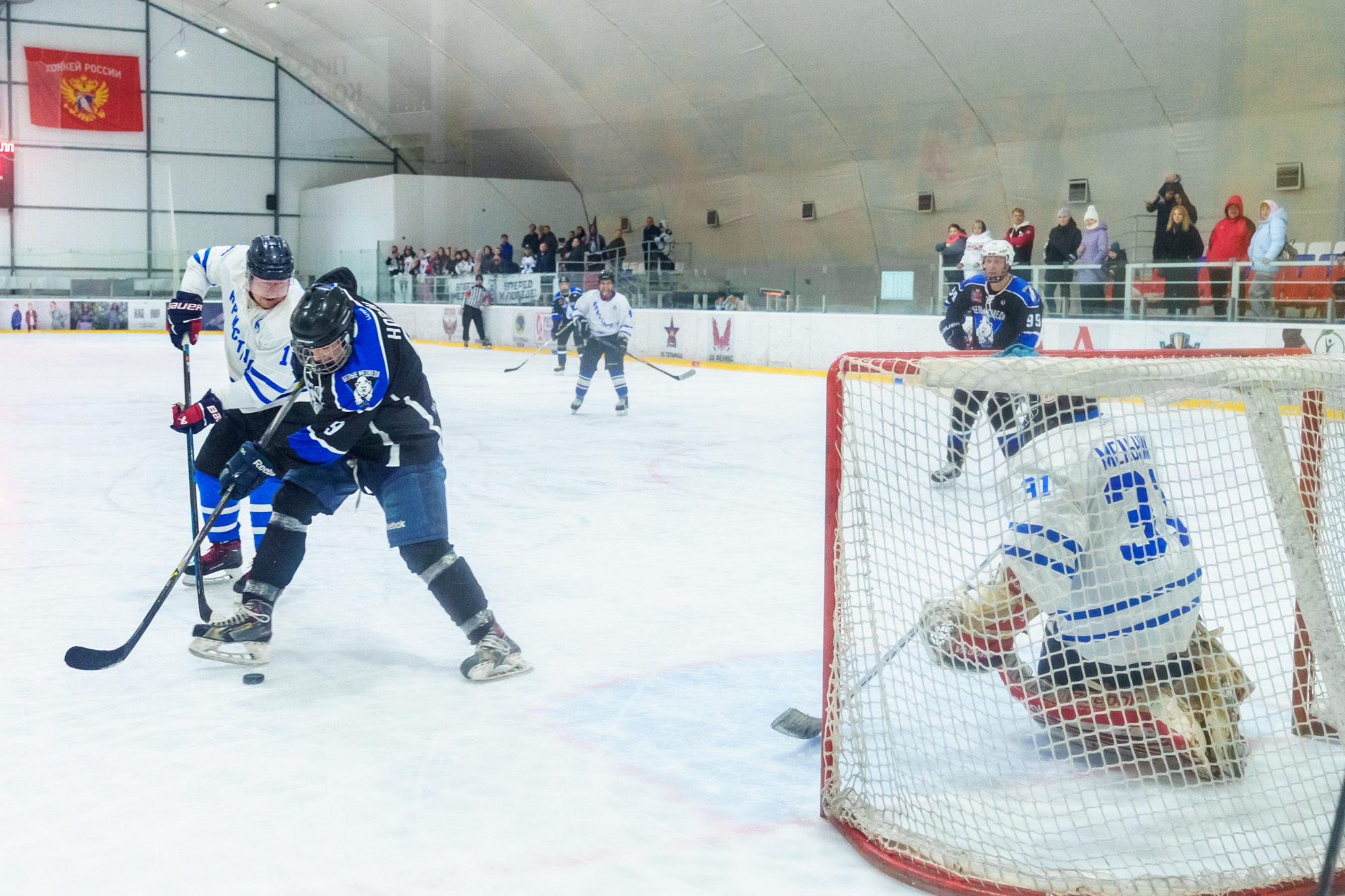 НХЛ, дивизион 40+ Белые медведи - Кристалл 1-6