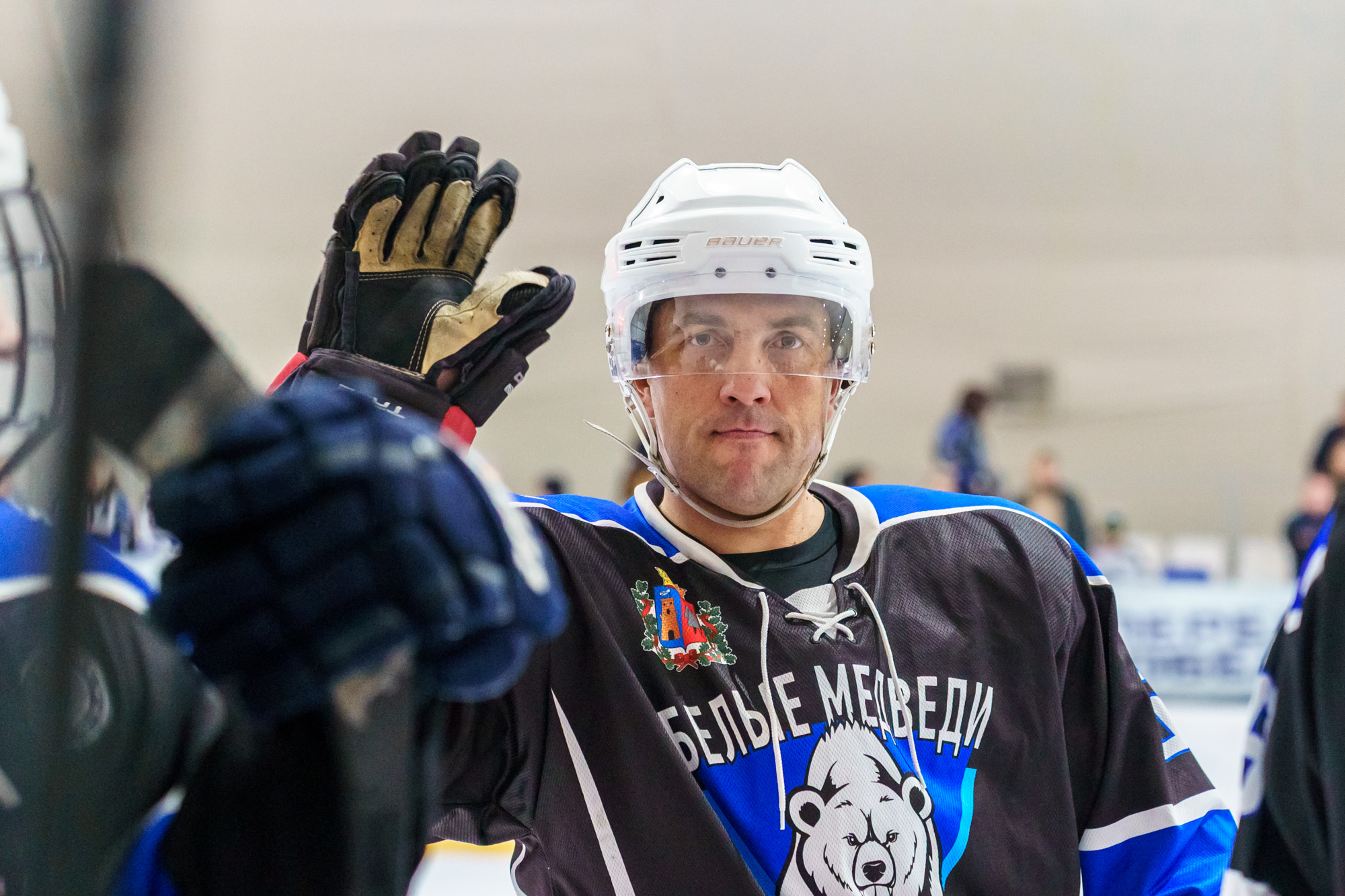 НХЛ, дивизион 40+ Белые медведи - Кристалл 1-6